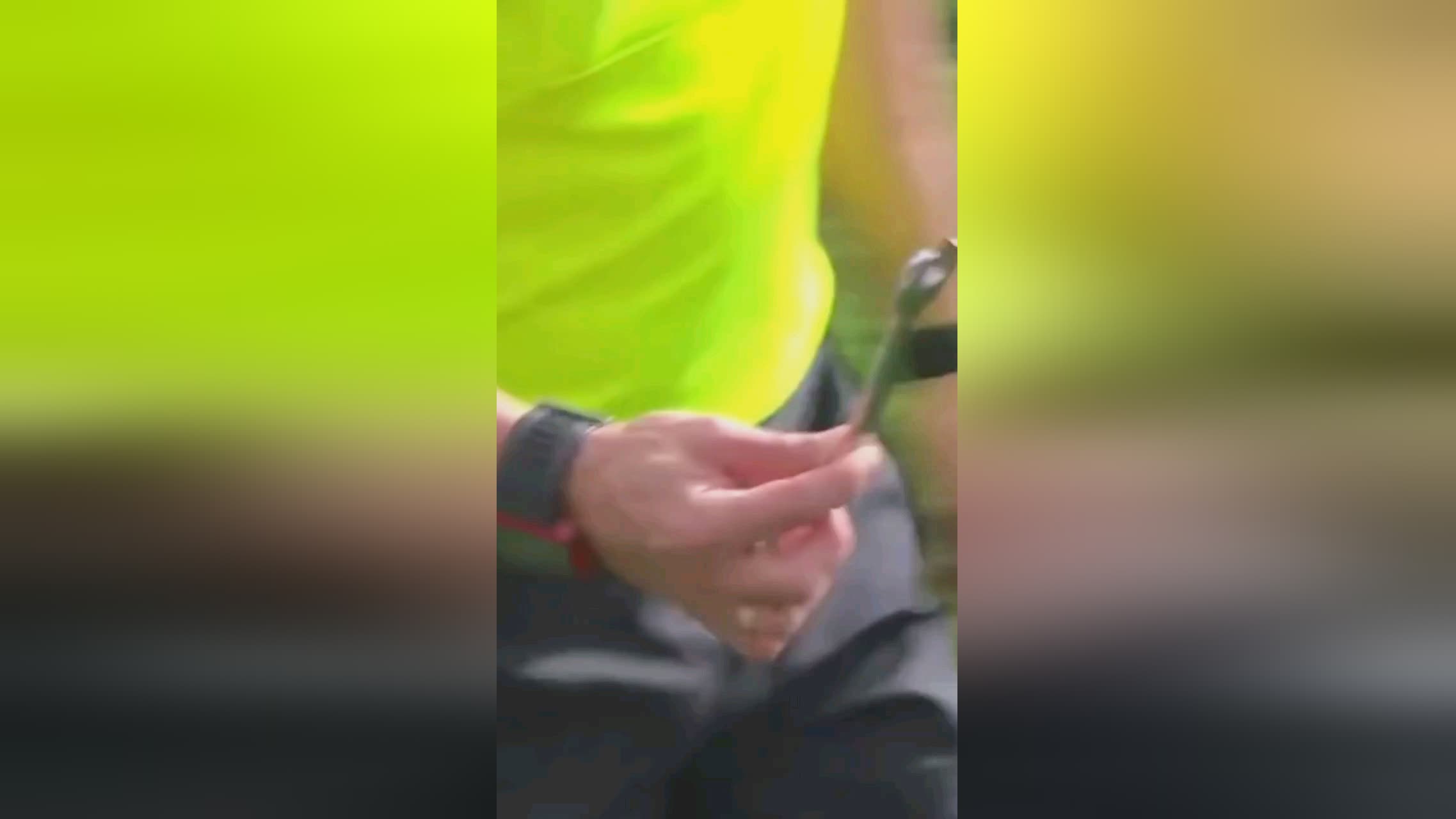 德的